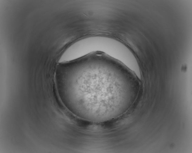 X0000092020211200709271556