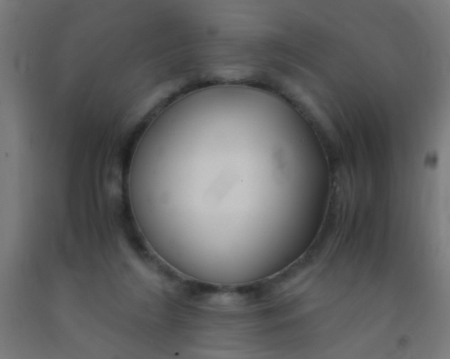 X0000092020212200709271556