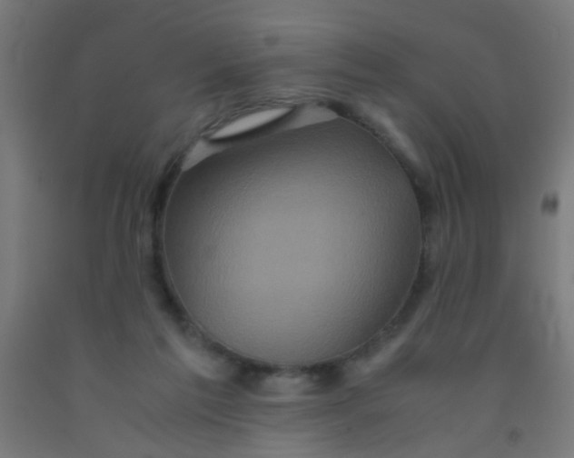 X0000092020213200709271556