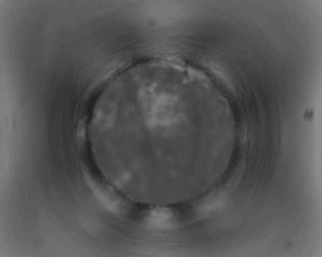 X0000092020214200709271556