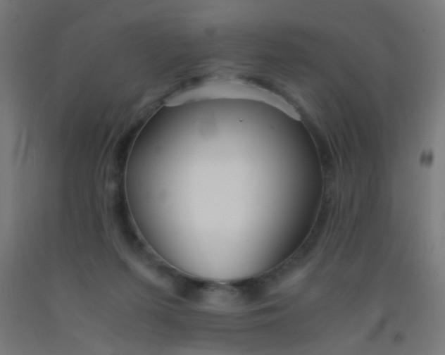 X0000092020215200709271556