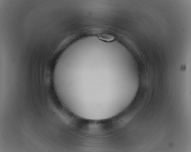 X0000092020216200709271556