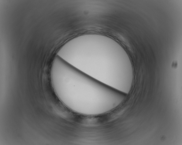 X0000092020217200709271556