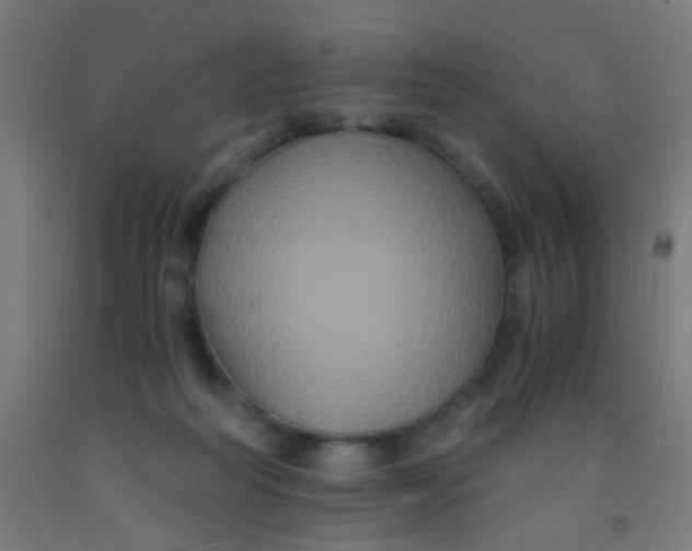 X0000092020218200709271556