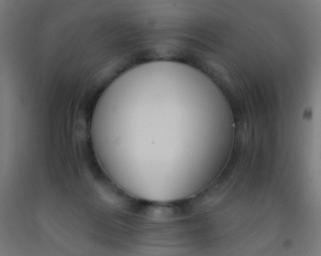 X0000092020220200709271556