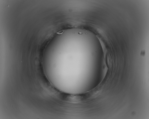 X0000092020221200709271556