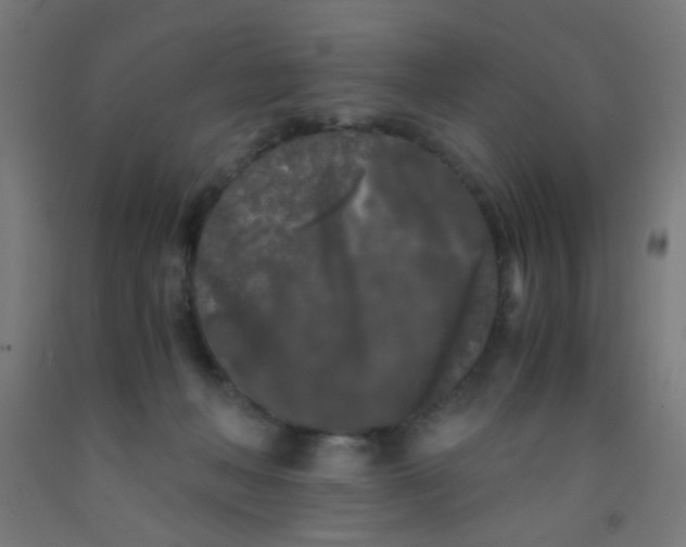 X0000092020222200709271555