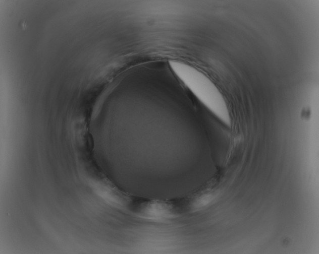 X0000092020223200709271555