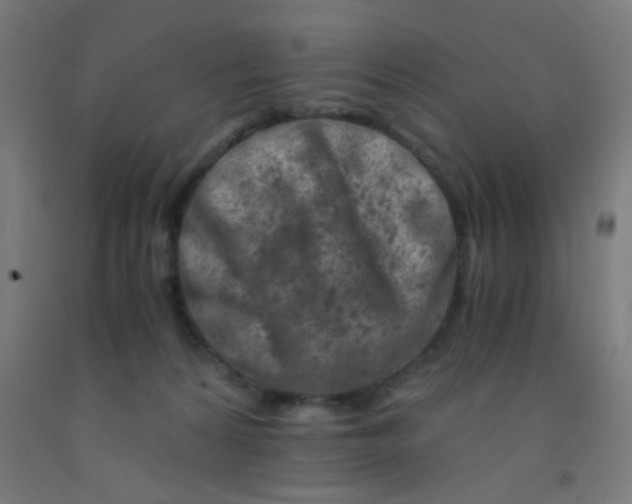 X0000092020224200709271555