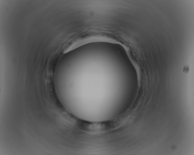 X0000092020225200709271555