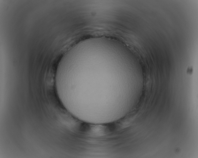 X0000092020226200709271555