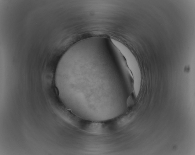 X0000092020227200709271555