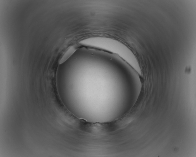 X0000092020229200709271555