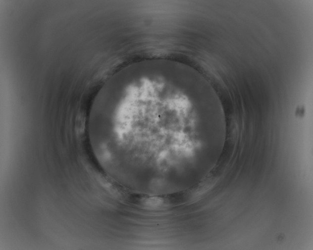 X0000092020230200709271555