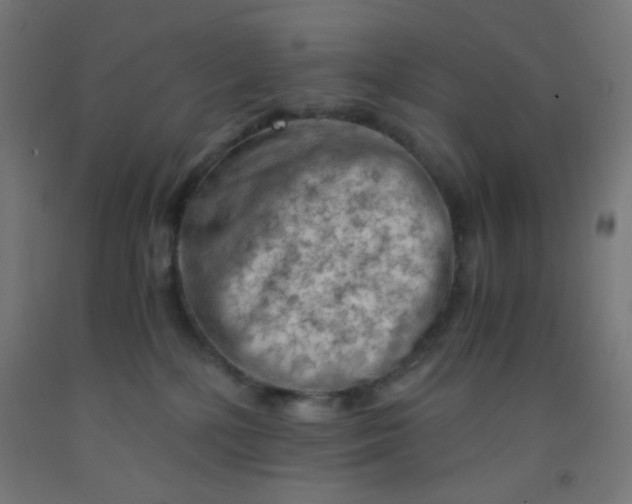 X0000092020232200709271555