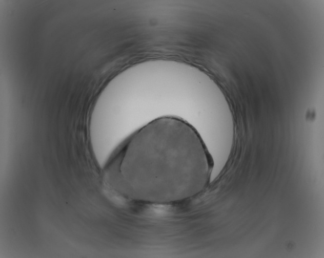 X0000092020233200709271555