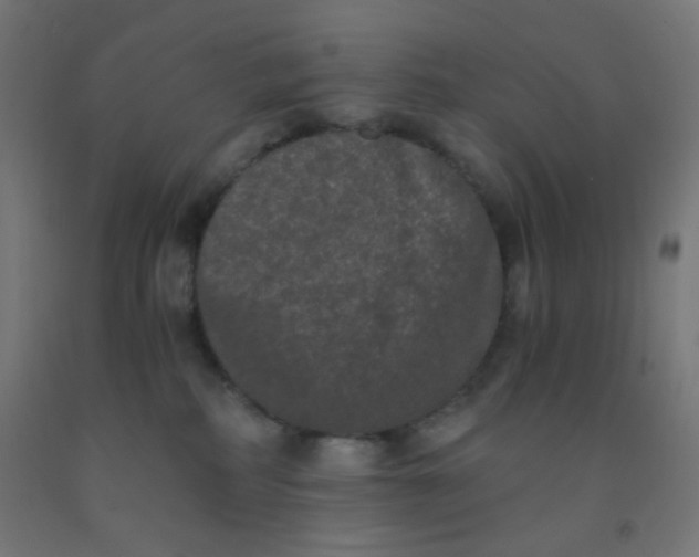 X0000092020234200709271555