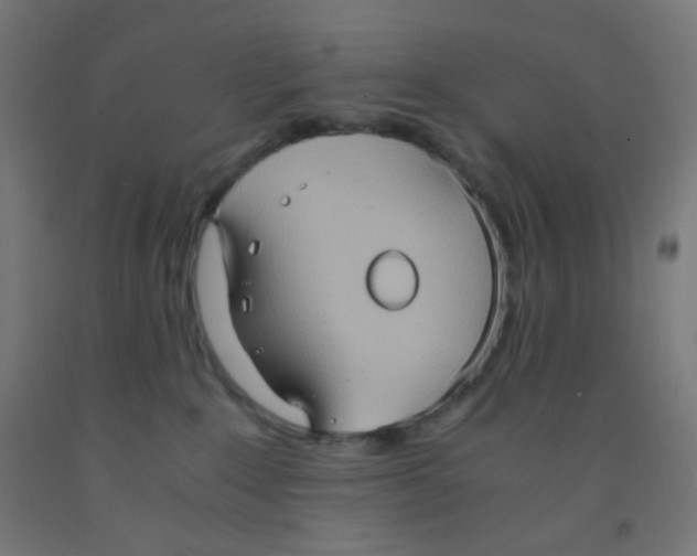 X0000092020235200709271555