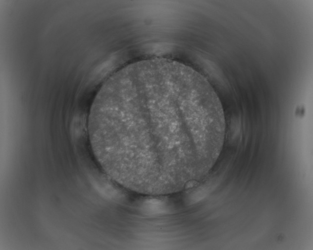 X0000092020236200709271555