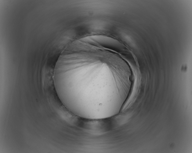 X0000092020237200709271555