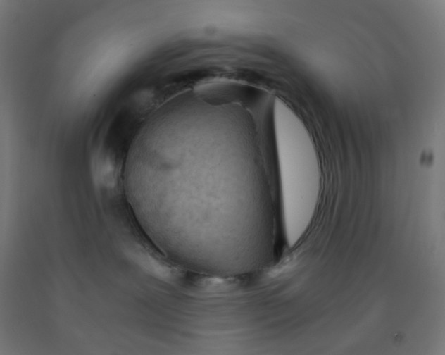 X0000092020239200709271555