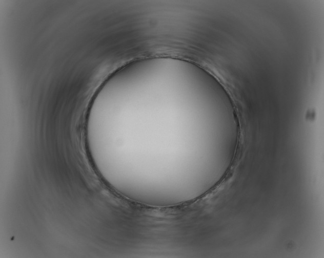 X0000092020241200709271555