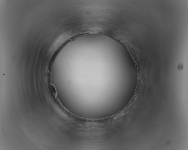 X0000092020242200709271555