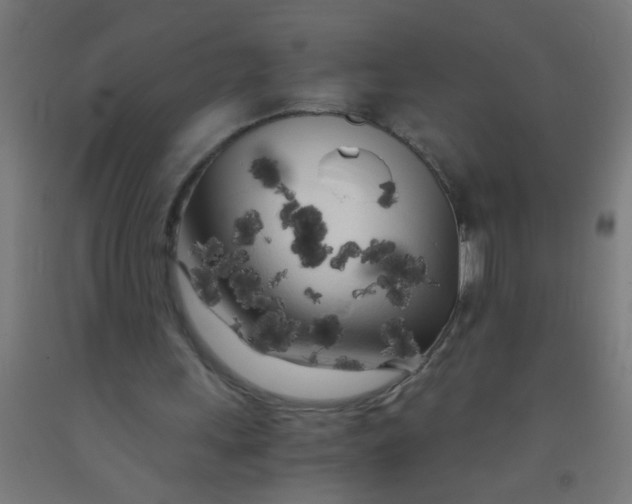 X0000092020243200709271555