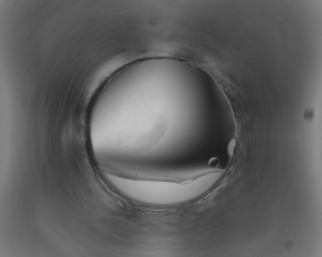 X0000092020244200709271555