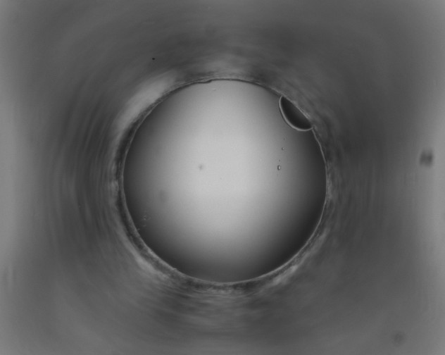 X0000092020245200709271555