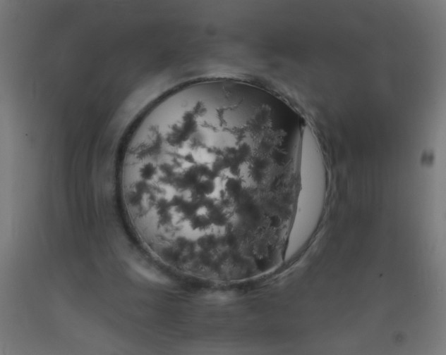 X0000092020247200709271555