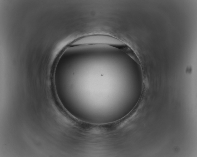 X0000092020248200709271555