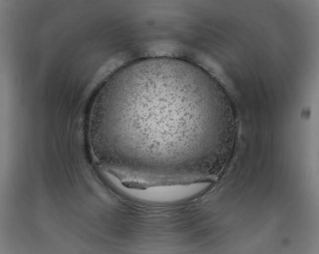 X0000092020250200709271555