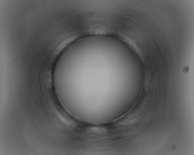 X0000092020251200709271555