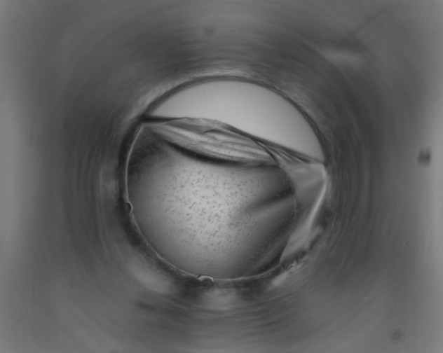 X0000092020252200709271555