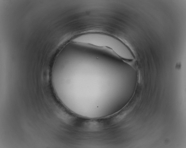 X0000092020253200709271555