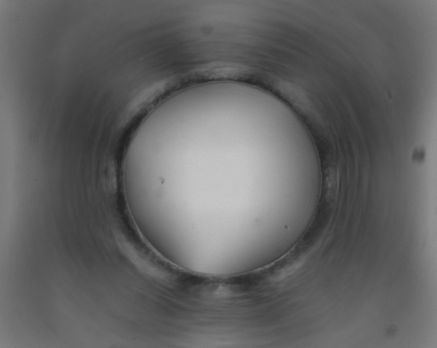 X0000092020254200709271555