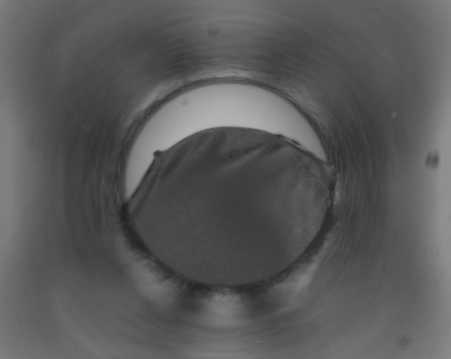 X0000092020256200709271555