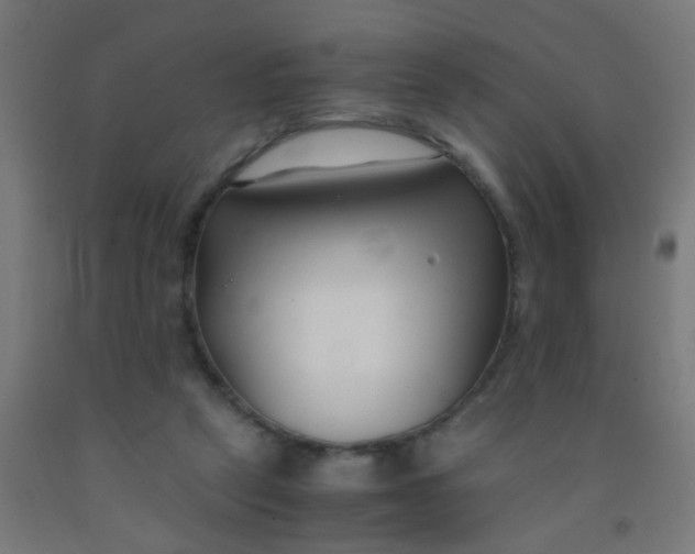 X0000092020257200709271555