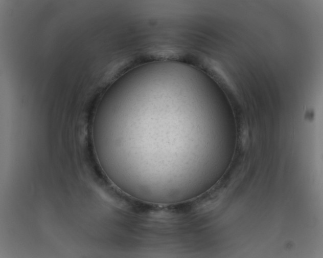 X0000092020259200709271555