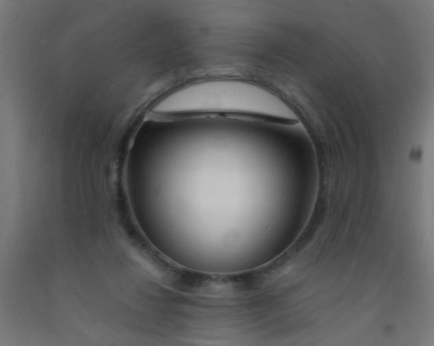 X0000092020260200709271555