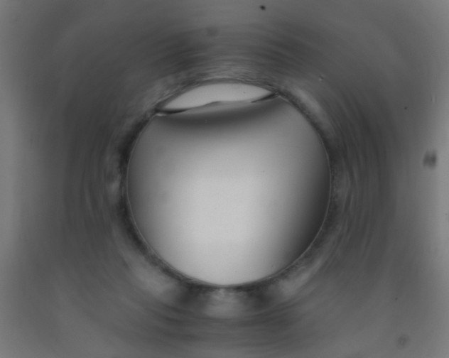 X0000092020261200709271555