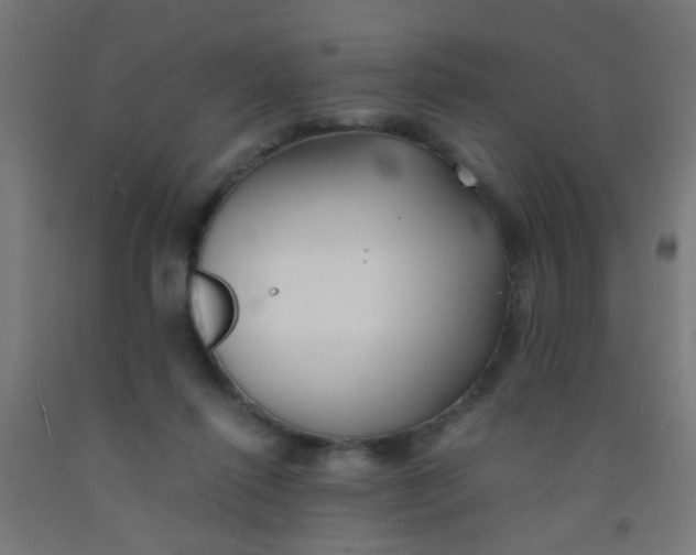 X0000092020262200709271555