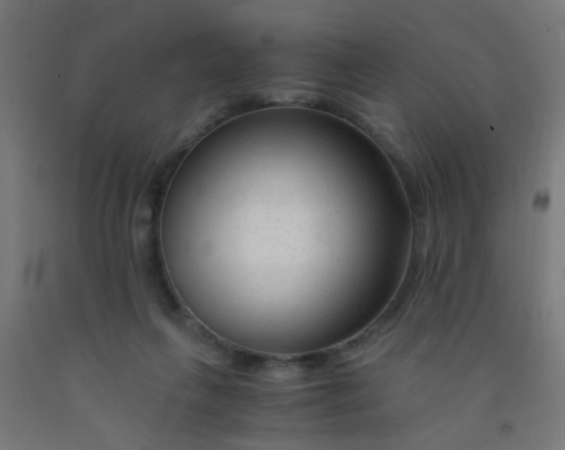 X0000092020263200709271555