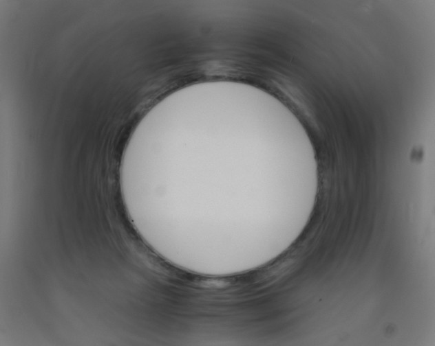 X0000092020265200709271555