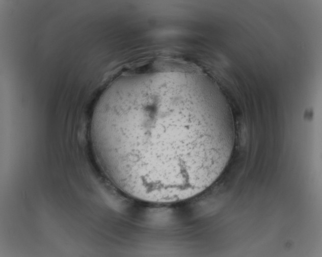 X0000092020266200709271555