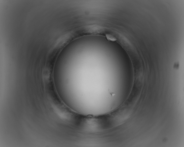 X0000092020268200709271555