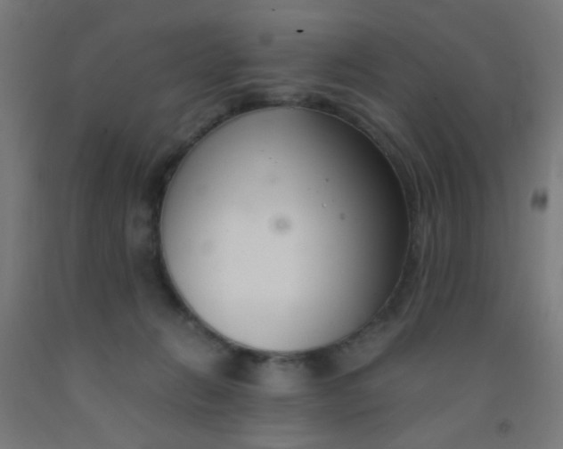 X0000092020270200709271555