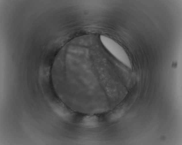 X0000092020271200709271555