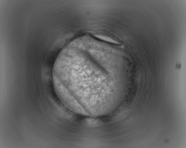 X0000092020272200709271555